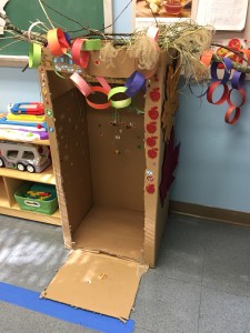 rachel blog 5