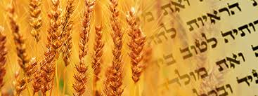 shavuot banner