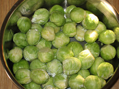 brussel sprouts photo