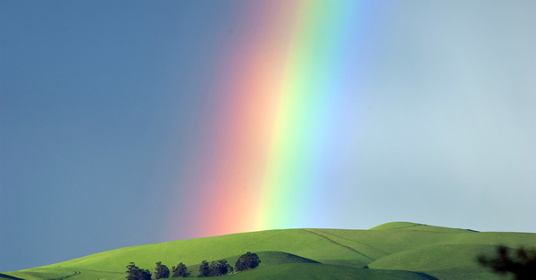 Parashah Noah 2015
