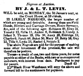 library Charleston slave auction5