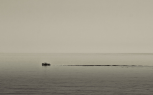 Parashat Noah