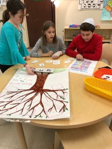 shoresh tree