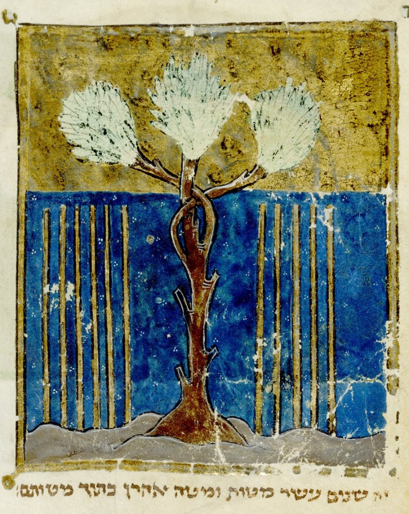 Add. 11639  f.519v