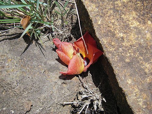 between a rock and a hard place 3