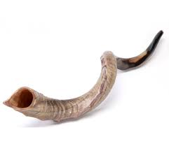 shofar1