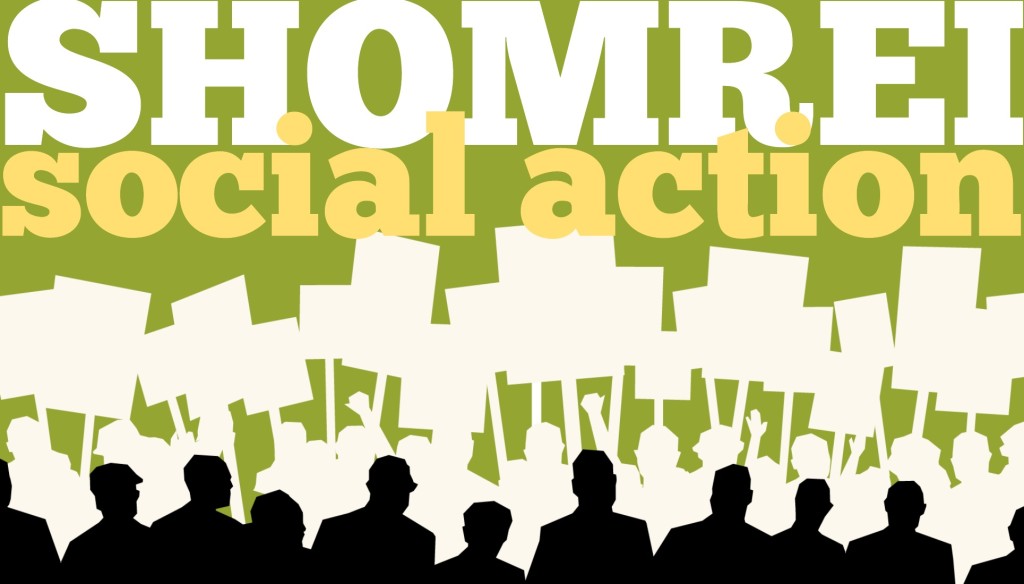 social_action_wide
