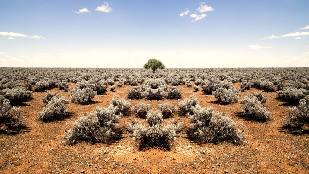 barren-1149975_1280