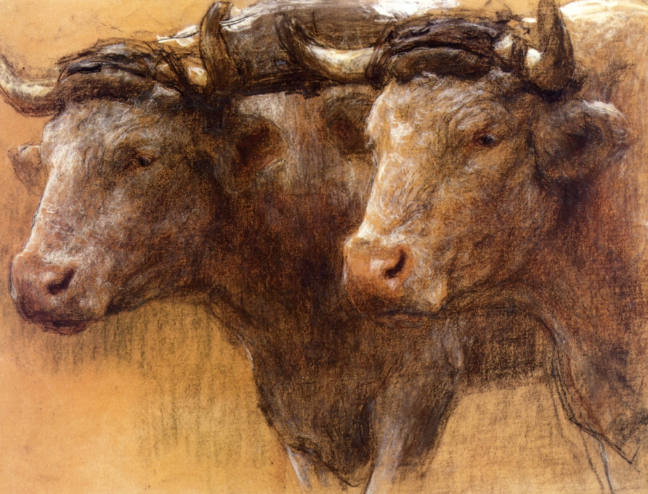 Lhermitte_-_study_of_ox_heads,_1908
