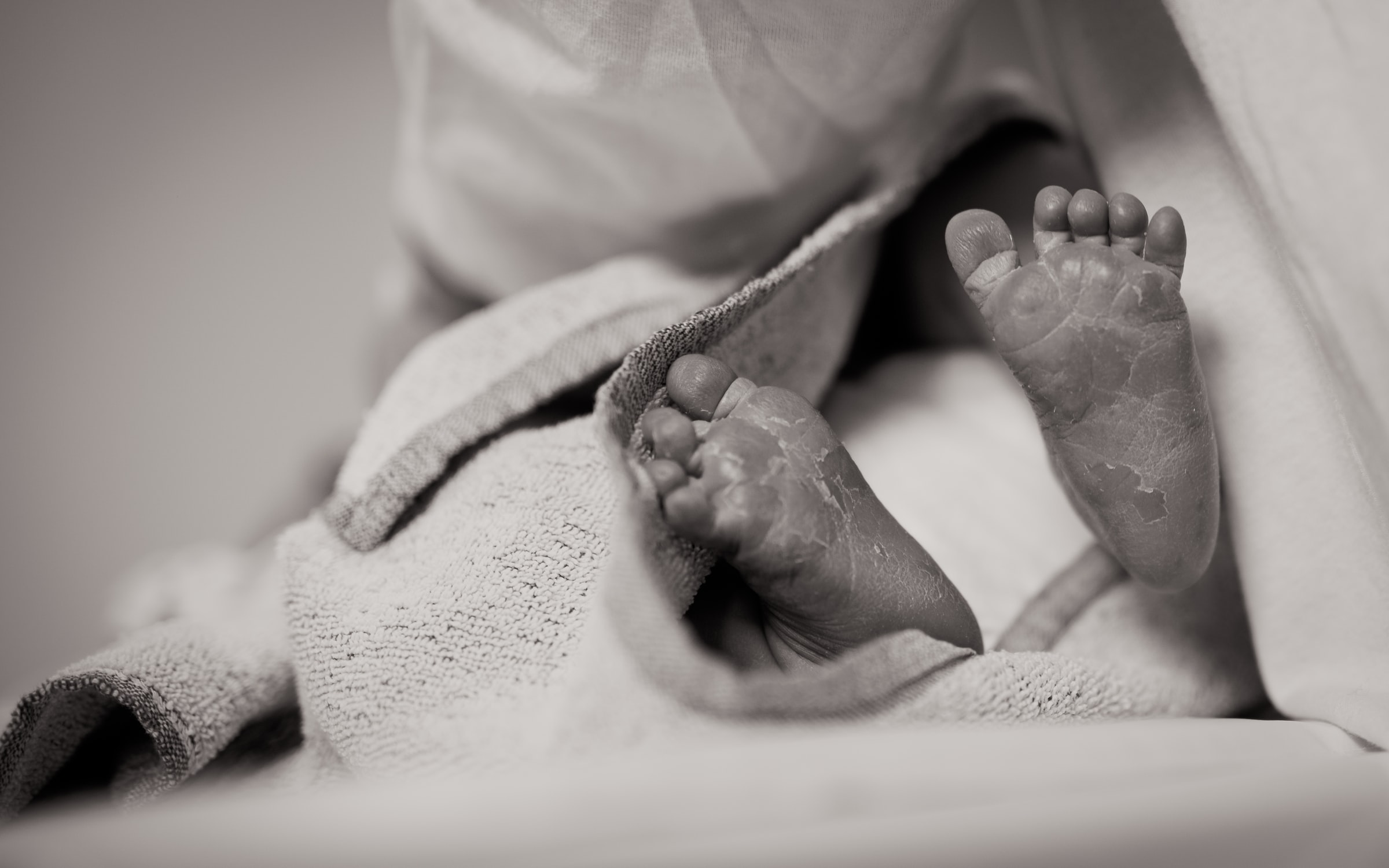 janko-ferlic-T5Q78o0xTdw-unsplash