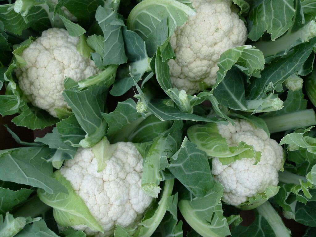 CAULIFLOWER