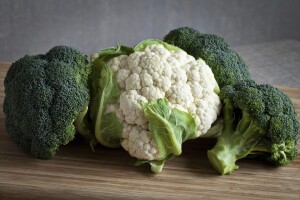 Feb 25 Broc caul