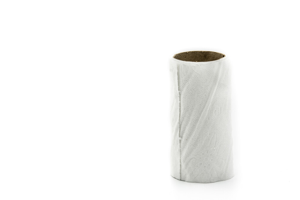 Empty toilet paper roll