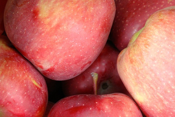 apples